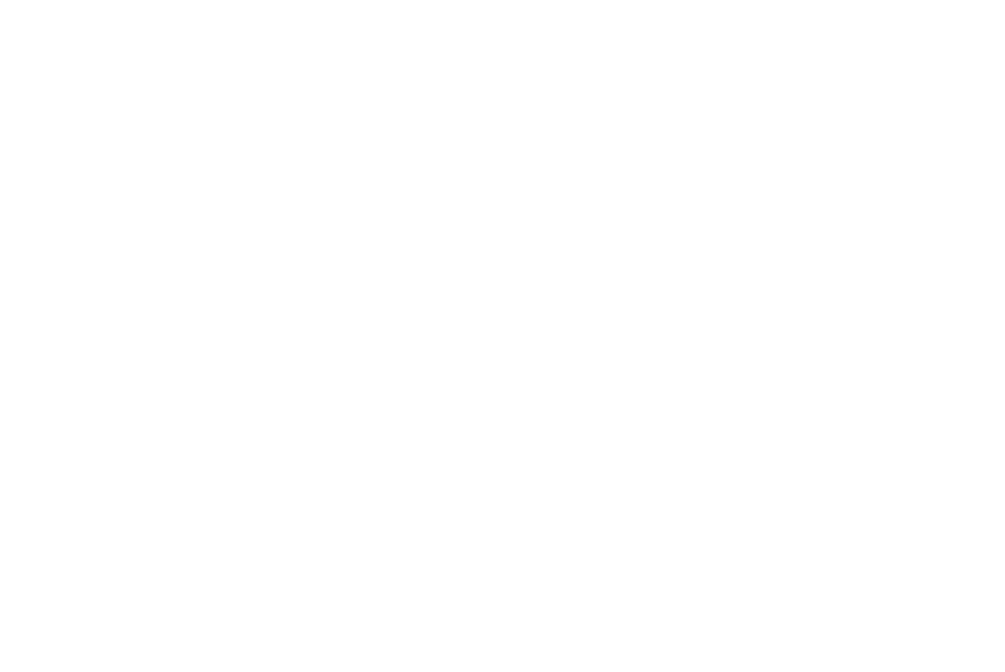 Logo Friedländer FZ